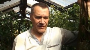 ВЫРАЩИВАНИЕ ДЫНЬ В СИБИРИ