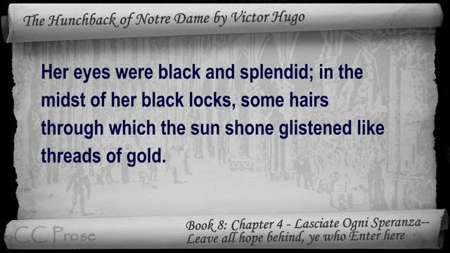 Book 08 - Chapter 4 - The Hunchback of Notre Dame by Victor Hugo - Lasciate Ogni Speranza смотреть онлайн