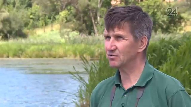 В озере Бело-Безводное, которое находится рядом с Раифским заповедником, гибнет рыба смотреть онлайн