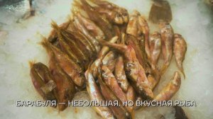 Рыбный рынок «Москва — на волне»