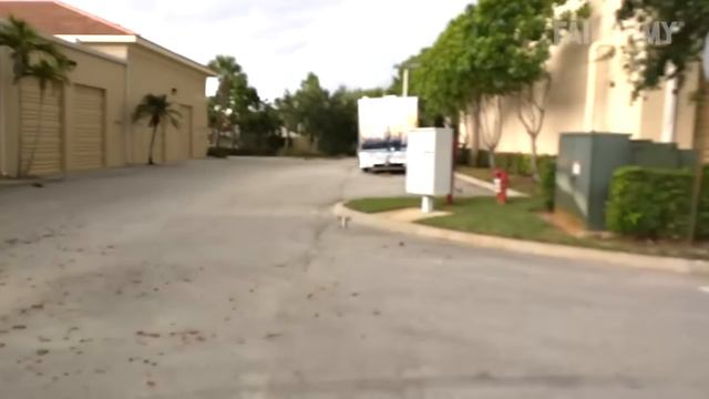 .Ultimate DRONE Fail Compilation!!! Drone Takedowns And Crashes 😂 ｜