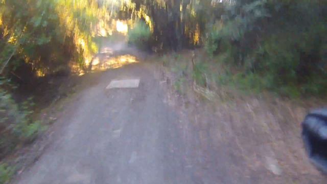 Bajada al pantano de vallvidrera. смотреть онлайн