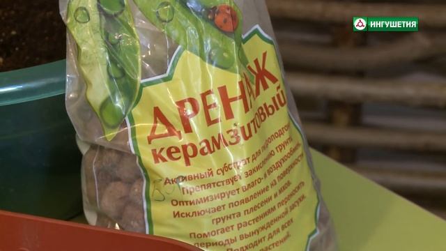 Строим с Умом