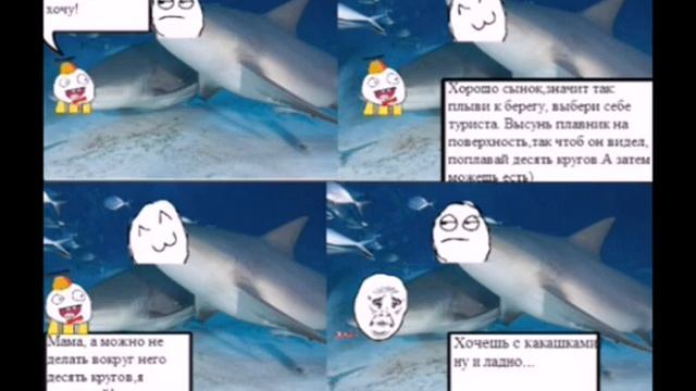 КАРТИНКИ АКУЛ смотреть онлайн