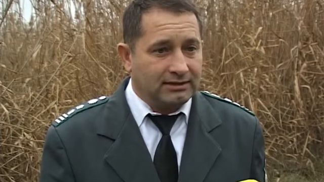 Станица, 16 ноября смотреть онлайн