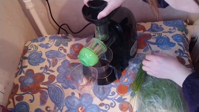 Как выжать сок витграсс. Обзор шнековой соковыжималки Kitfort (Китфорт) - KT1111-1. смотреть онлайн