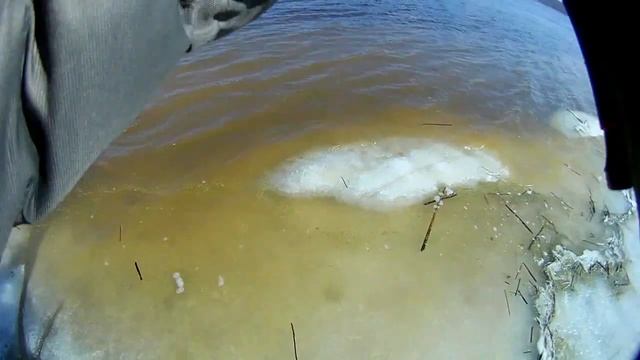 РЫБАЛКА МЕЧТЫ!!!ЛОВЛЯ КРУПНОГО ЯЗЯ НА ДОНКУ С БЕРЕГА!!!Рыбалка на средней волге!