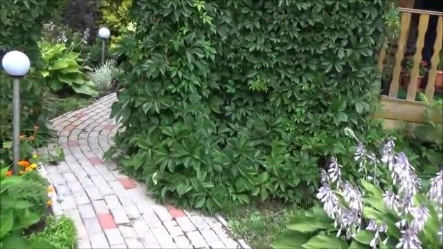 Дачный влог. Мастерим. Миниатюрный садик. Про газ. Что растет вокруг водоемчика. Бадан. смотреть онлайн