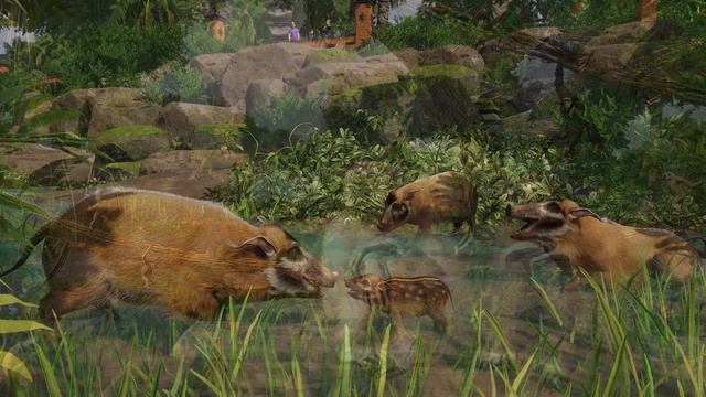 🦥Tropical Pack Announced! Sloths, Fossa, and more! | Planet Zoo смотреть онлайн