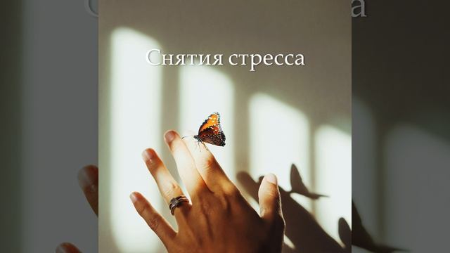 Дзен медитация