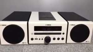 YAMAHA CRX 040