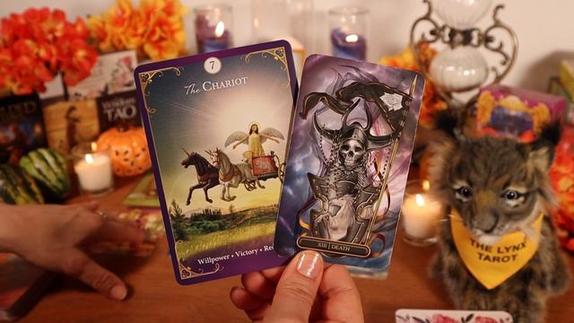 ♊?GEMINI WEEKLY TAROT & ORACLE: IN RIGHT PLACE AT RIGHT TIME! ~ WHOLE NEW LIFE/TRANSITION! смотреть онлайн