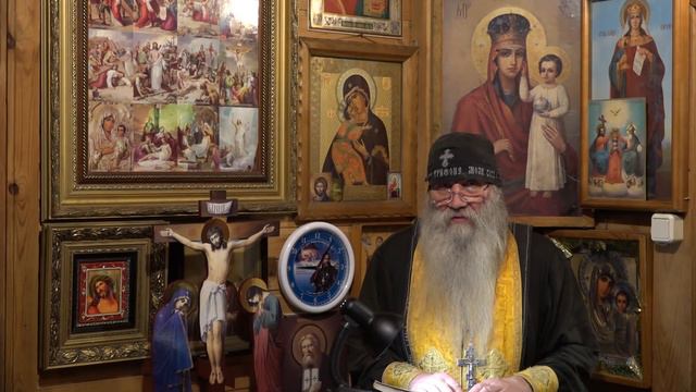 Господь проверяет истинных, кто ждет скорбей как дорогих гостей. смотреть онлайн