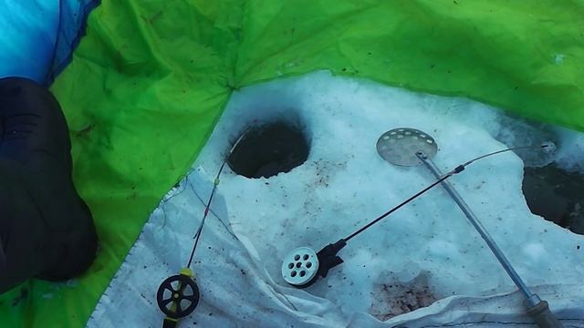 Донник, как ароматизатор в прикормке. Пока не распробовал. смотреть онлайн