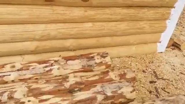 Компания «Смол Дом»: сруб 5.37 на 3.67 смотреть онлайн