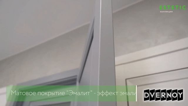 Межкомнатные двери FlyDoors коллекция Estetic в ТК Дверной Барнаул, Бийск смотреть онлайн