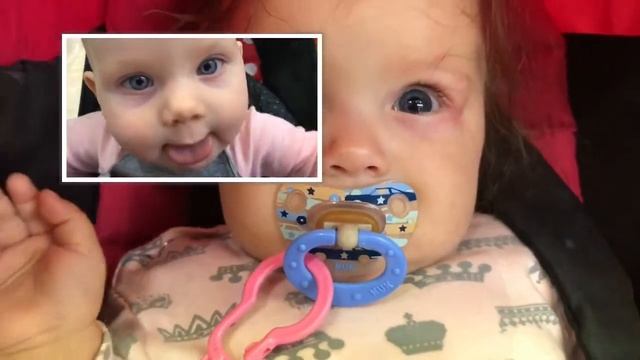 Блог молодого Папочки #3 У какого верблюда 3 горба смотреть онлайн