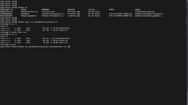 #4 Docker - Copy File dari Container ke Host смотреть онлайн