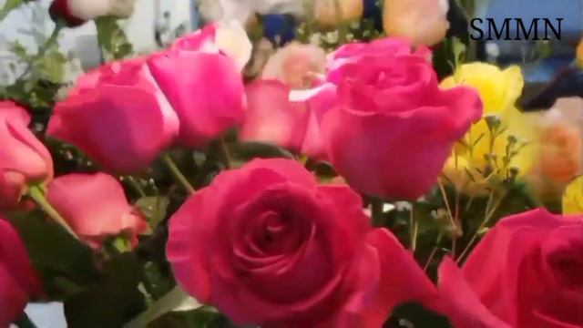 Beautiful Flower With Music, Romantic Music, Spa , Piano, Relaxing Music, Study Music, SSS relaxing смотреть онлайн