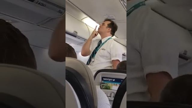 Самый прикольный стюард в мире смотреть онлайн