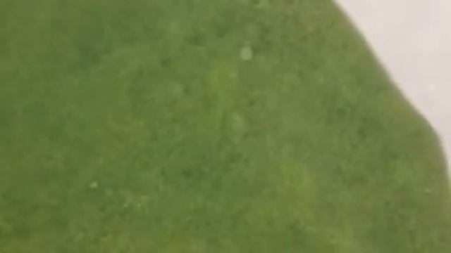 Liod смотреть онлайн