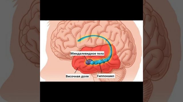 Можно ли стирать плохие воспоминания ? смотреть онлайн