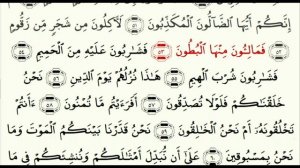 Сура 56 Аль-Вакиа (Событие) - урок, таджвид, правильное чтение