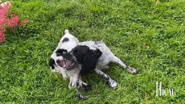 Видео длиною в год | 1 секунда в день | 2021 | 1 Second Every Day