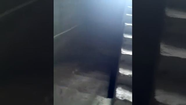 Вызов призрака смотреть онлайн