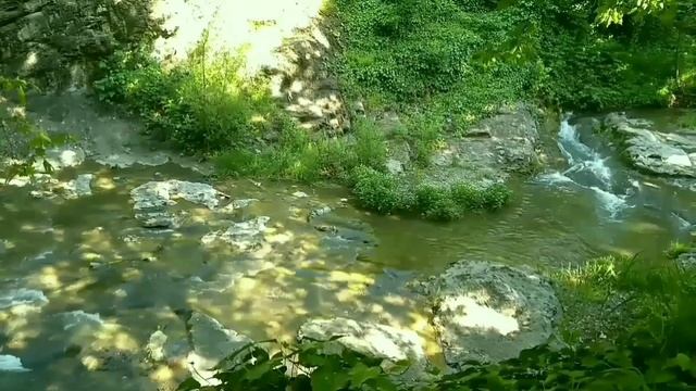 Очаровательный Тбилисcкий Ботанический сад смотреть онлайн