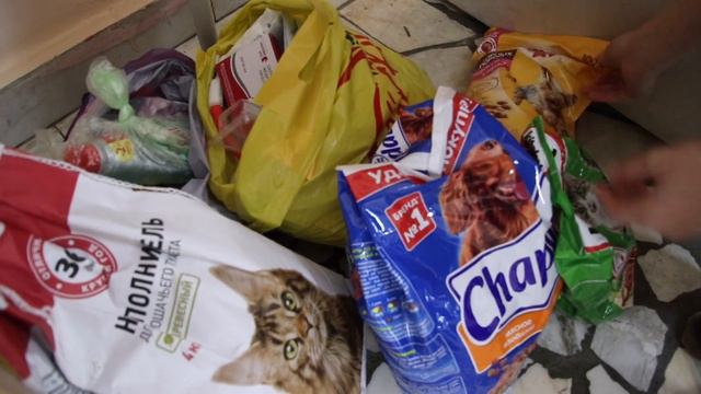 Неделя волонтерства в Школе 626 смотреть онлайн