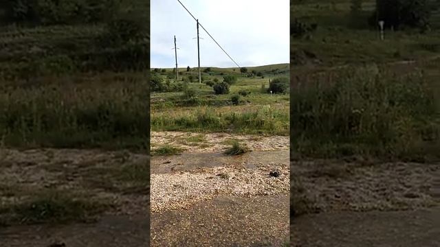 Прогулка к речке.mp4 смотреть онлайн