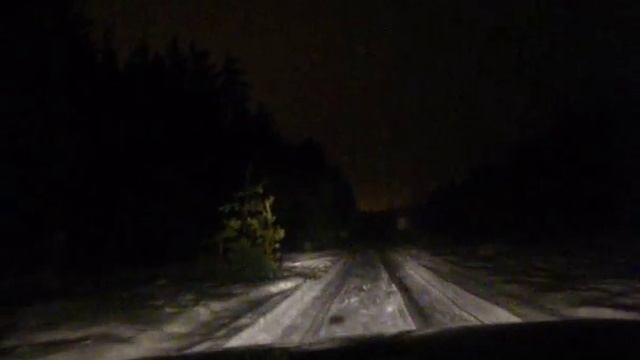 В Лесу Застывшем ( ДДТ - Когда Един ) смотреть онлайн