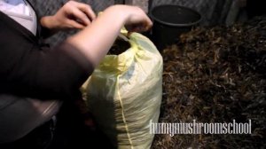 МЕШКИ для посадки ВЕШЕНКИ - используем мусорные пакеты