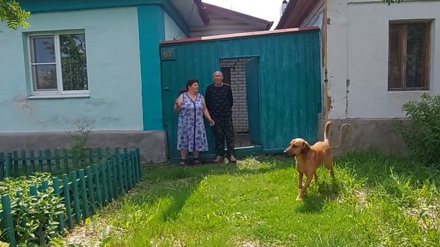 мама папа песик и цветы смотреть онлайн