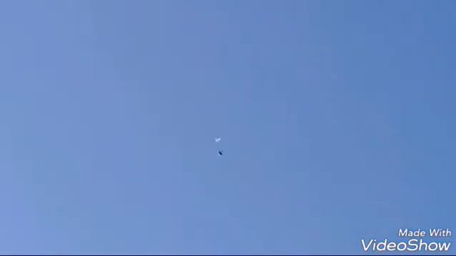 Ещё и вечером пара сами поднялись 10.04.2017. смотреть онлайн