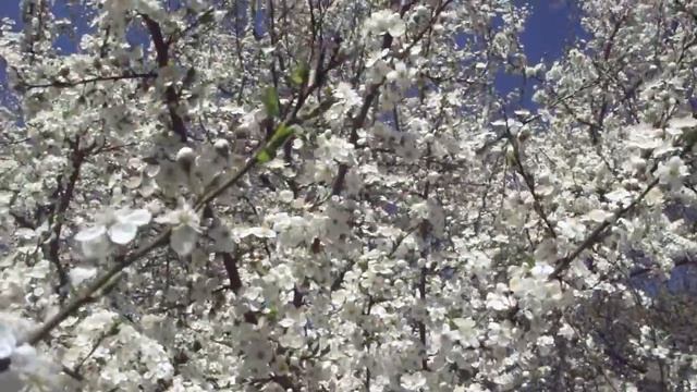 счастье есть смотреть онлайн