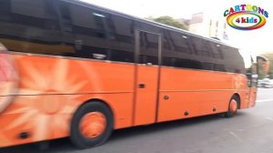 Городской транспорт – изучаем технику и машинки для детей