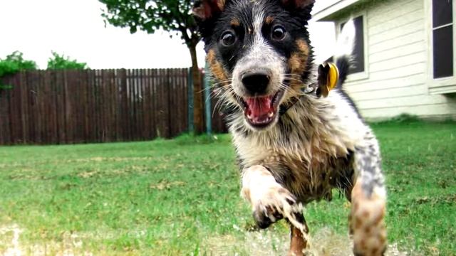 Мой сын и мне решать, какая женщина будет ему рожать детей! Нищенкам не место возле моего сына! смотреть онлайн