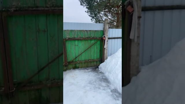 Всем привет давайте до моего день рождения наберем 800 подписчиков у меня день рождения 28 июля смотреть онлайн