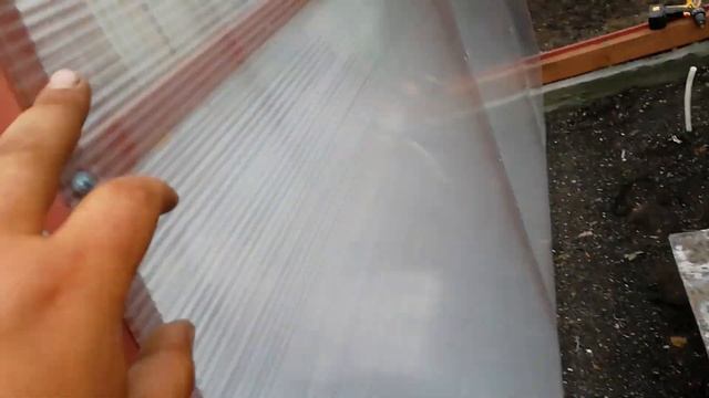 Кулинарное творчество для начинающих 