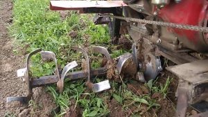 мотоблок+передний адаптер+фрезы- культивация(испытание)