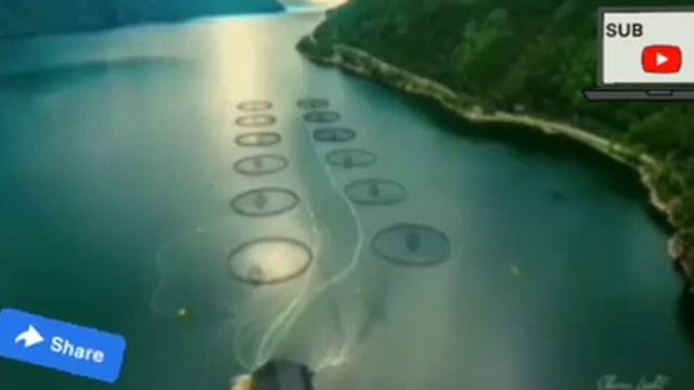 #Achik ringani git number 448#Garo new song#Christian#song#major Kristen смотреть онлайн