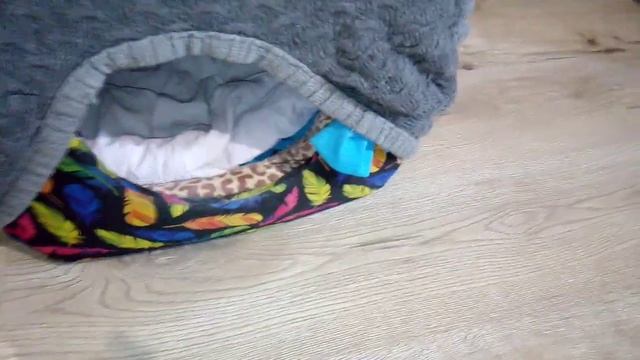 Ну вот и переехали. Осваивается в новой квартире. смотреть онлайн