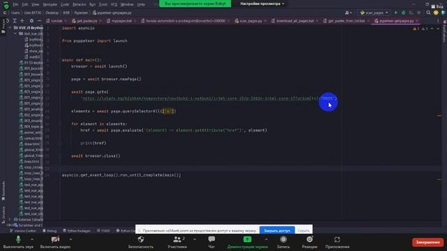 работа учеников с pyppeteer смотреть онлайн