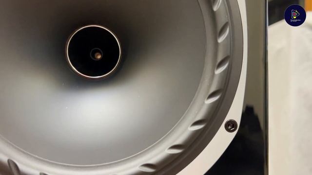 Quá đẹp và sang trọng cặp loa Fyne Audio F502 Gloss đến từ nước Anh #thuanaudio смотреть онлайн