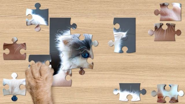 Cat Jigsaw Puzzles смотреть онлайн