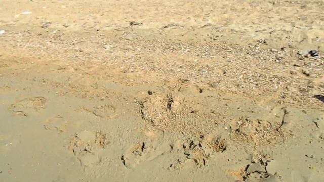 AEGEAN SEA/ЭГЕЙСКОЕ МОРЕ/ SUMMER 2016 смотреть онлайн
