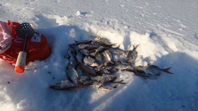 РЫБАЛКА НА ТАТЬЯНКЕ. ВЫХОДИМ ИЗ ГЛУХОЗИМЬЯ. РЫБАЛКА В САМАРЕ. СЕЗОН 23-24 ГОДА.