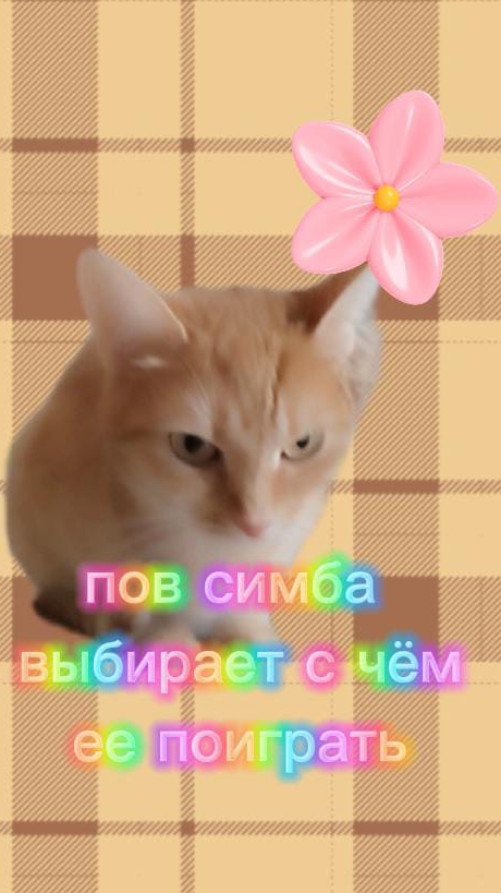 ❤️симбочка-милочка ❤️